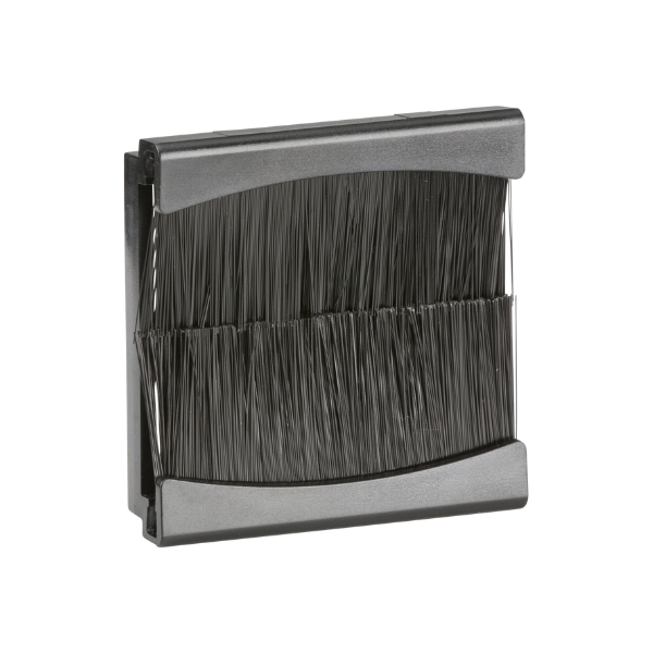 2 Gang Black Brush Module - IN031
