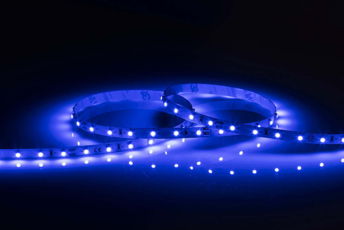 24V IP20 LED Flex Blue (3 metres) - LFL24B3M