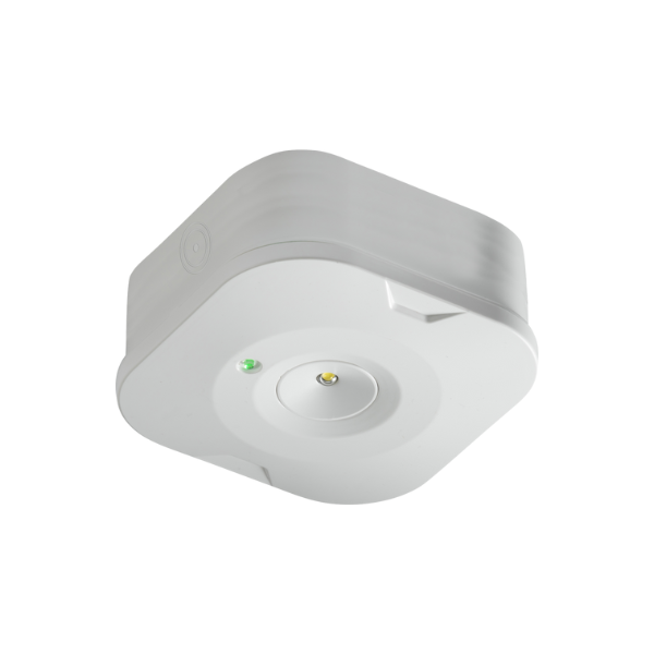 230V 3W LED Surface Emergency Downlight EMSUR2